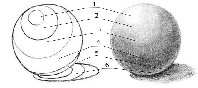 Как научиться рисовать светотень